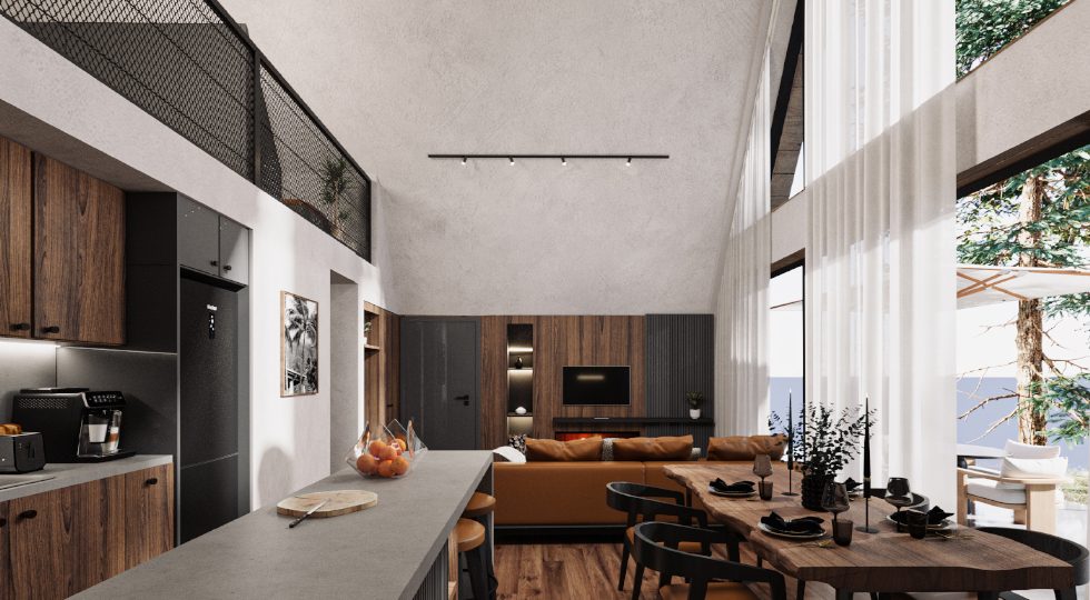HH-A-FRAME-INDUSTRIAL STYLE-LIVING ROOM 01-VIEW01-